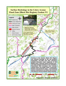 Flood Zone Analysis